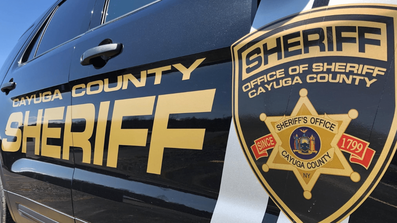 Auburn traffic stop leads to psilocybin possession charge Auburn traffic stop leads to psilocybin possession charge