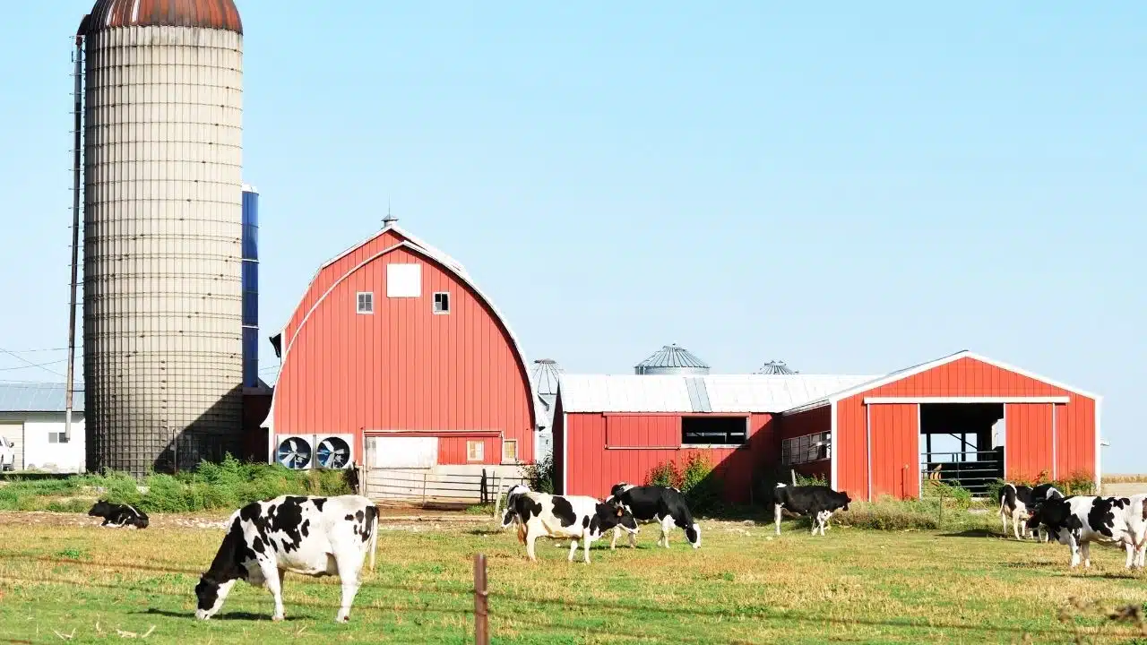 .5 million dairy modernization grant round opens in New York .5 million dairy modernization grant round opens in New York