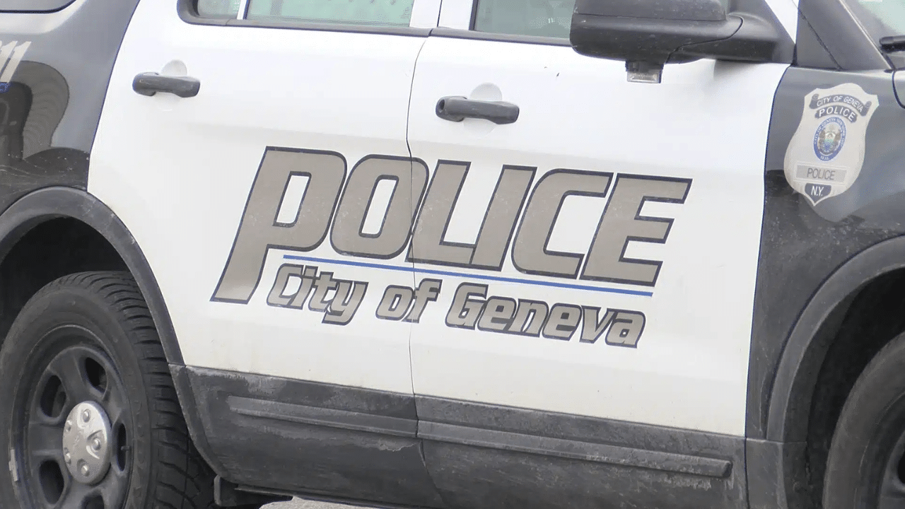 Geneva man faces felony weapon charge after traffic stop