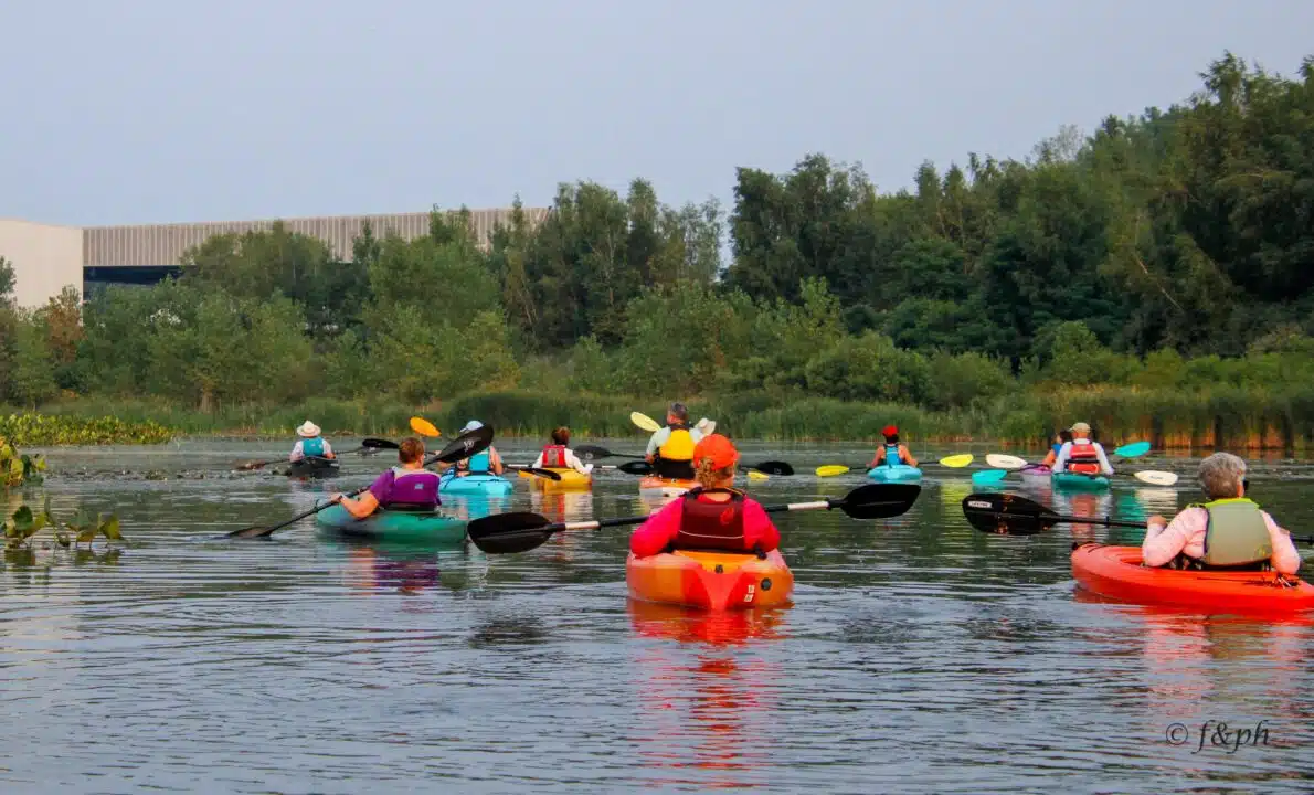 Onondaga Lake kayaking tour will highlight restored wildlife habitat