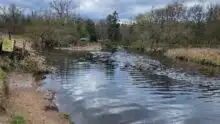 Maxwell Bay fishing access parking lot to close temporarily for maintenance