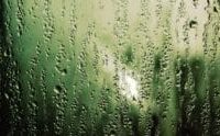 FL1 FORECAST: Scattered showers move through today before a drier Friday and wetter weekend