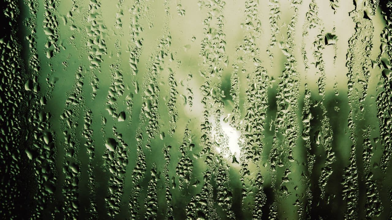 FL1 FORECAST: Scattered showers move through today before a drier Friday and wetter weekend FL1 FORECAST: Scattered showers move through today before a drier Friday and wetter weekend