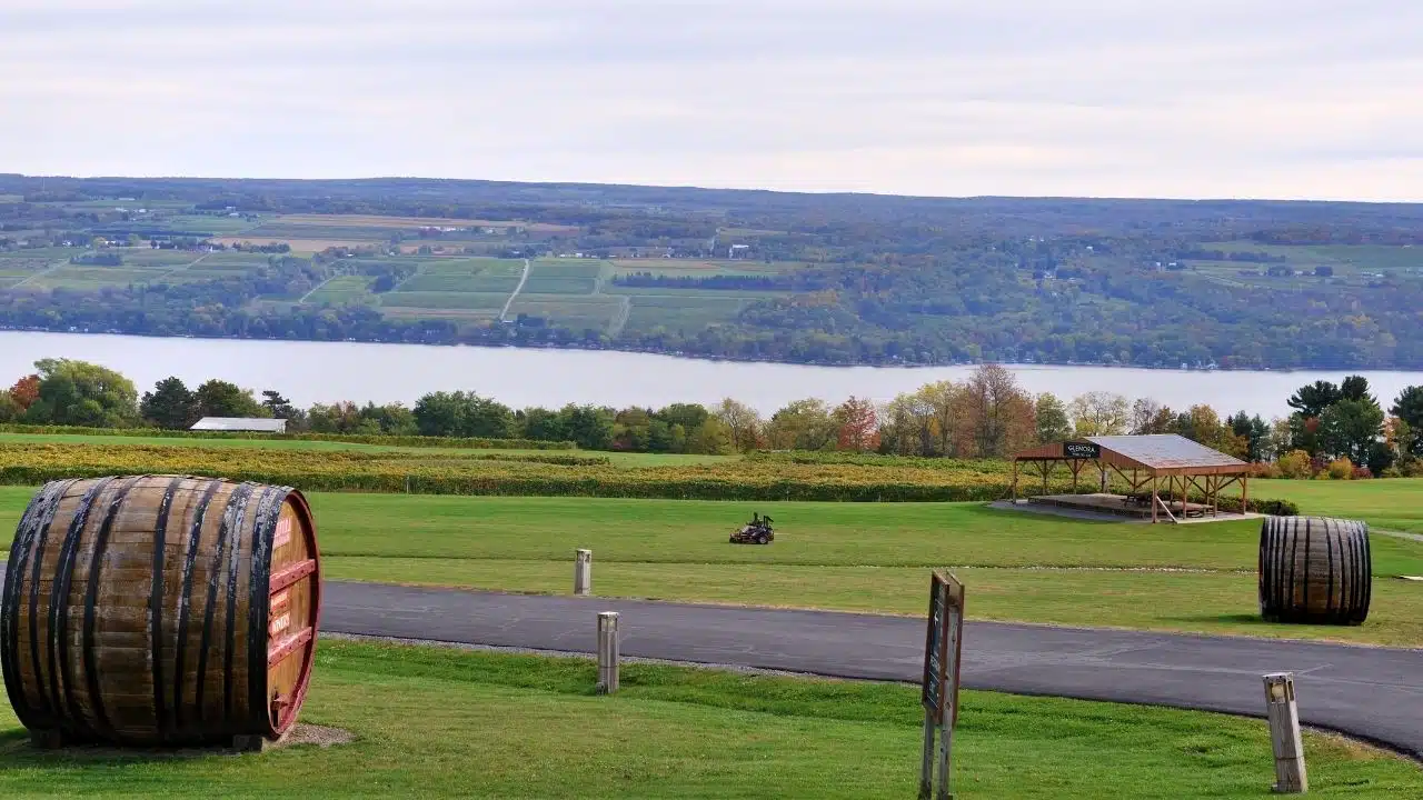 High costs, lost contract squeeze New York grape growers High costs, lost contract squeeze New York grape growers