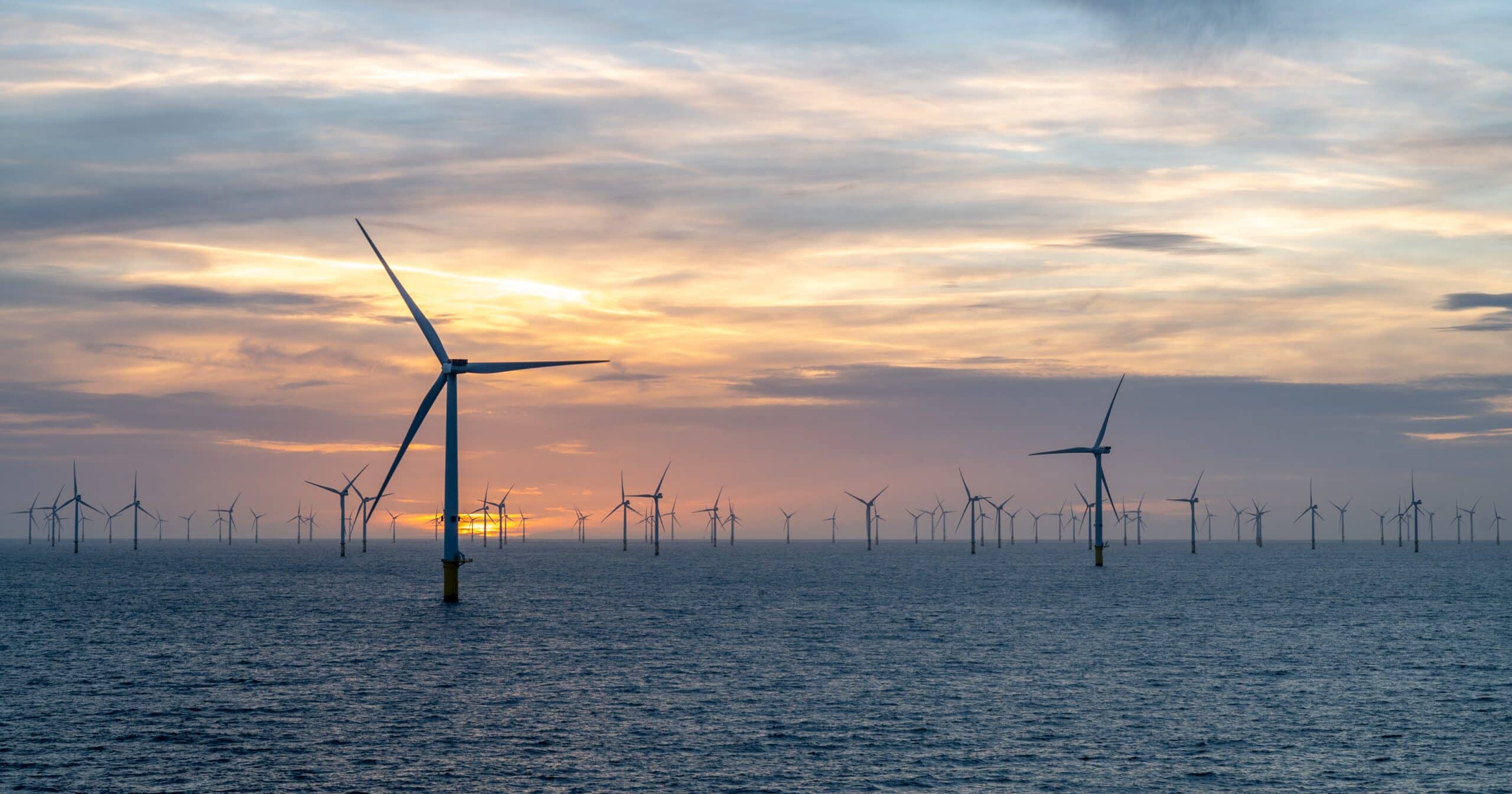 Trump administration buys back New York's offshore wind leases
