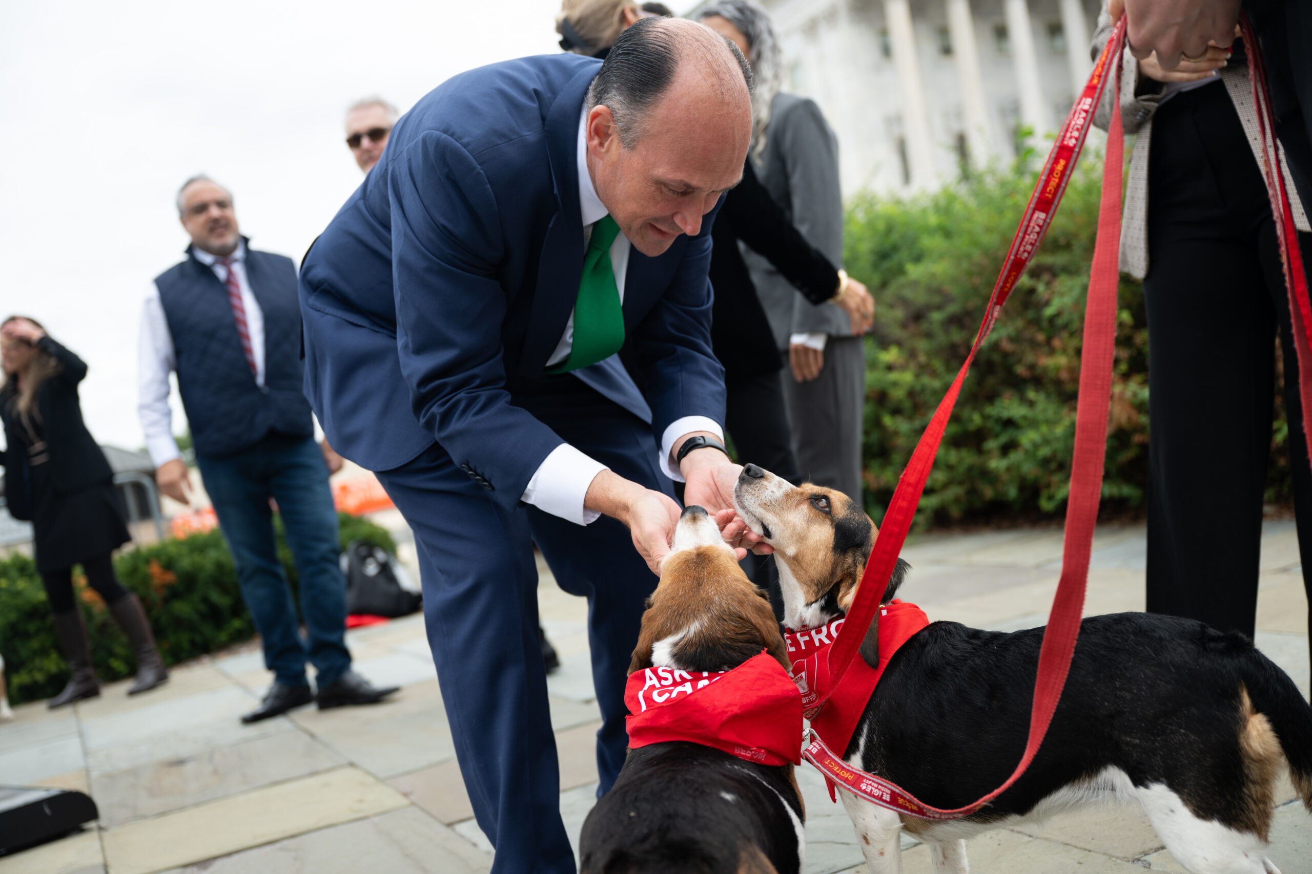 Langworthy, Pocan propose federal funding ban on dog and cat testing