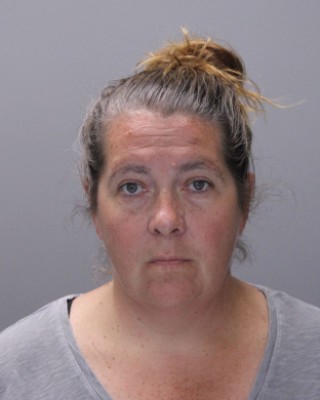 Victor store thefts lead to felony charge Victor store thefts lead to felony charge