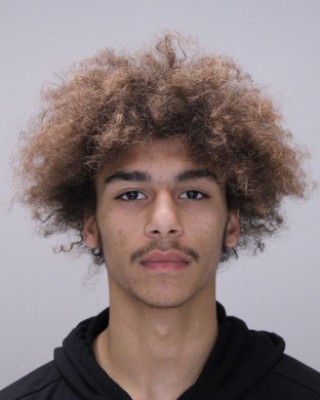 Rochester man charged in Farmington burglaries and vehicle thefts Rochester man charged in Farmington burglaries and vehicle thefts