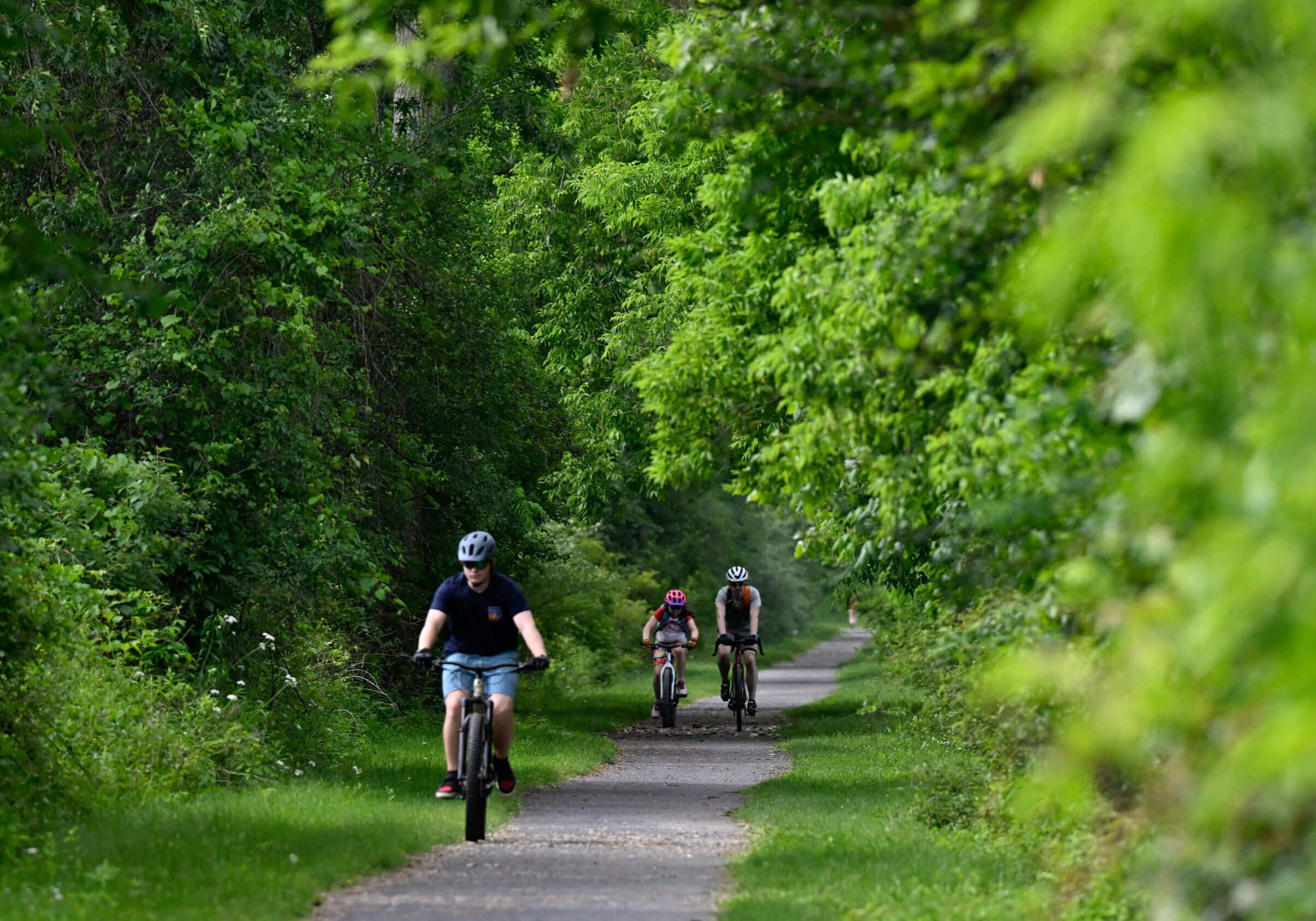 Schuyler County seeks public input on future use of Catharine Creek wildlife area