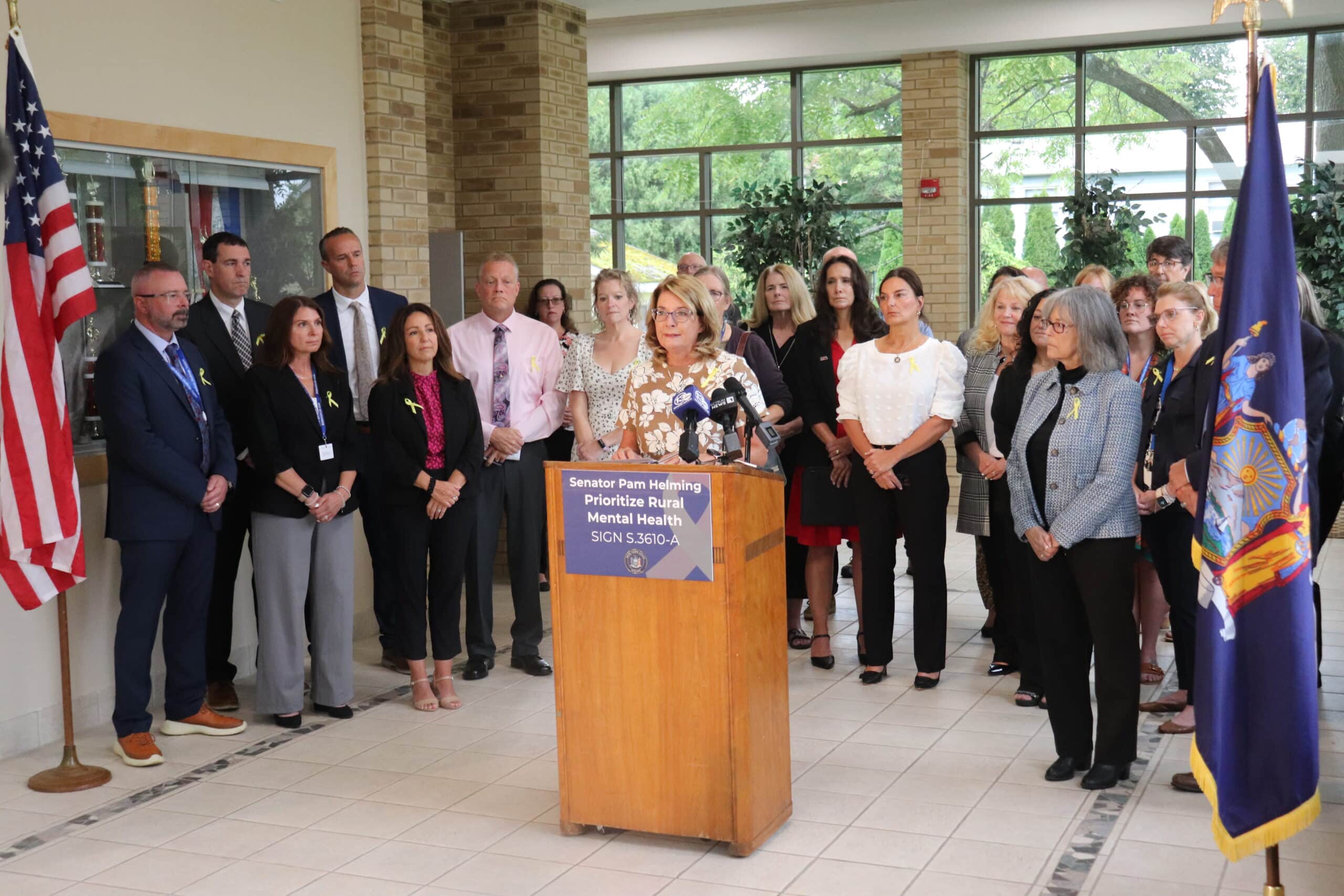 Helming urges Hochul to sign rural suicide prevention council bill Helming urges Hochul to sign rural suicide prevention council bill