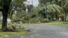 NWS confirms tornado and straight-line wind evidence in Seneca County