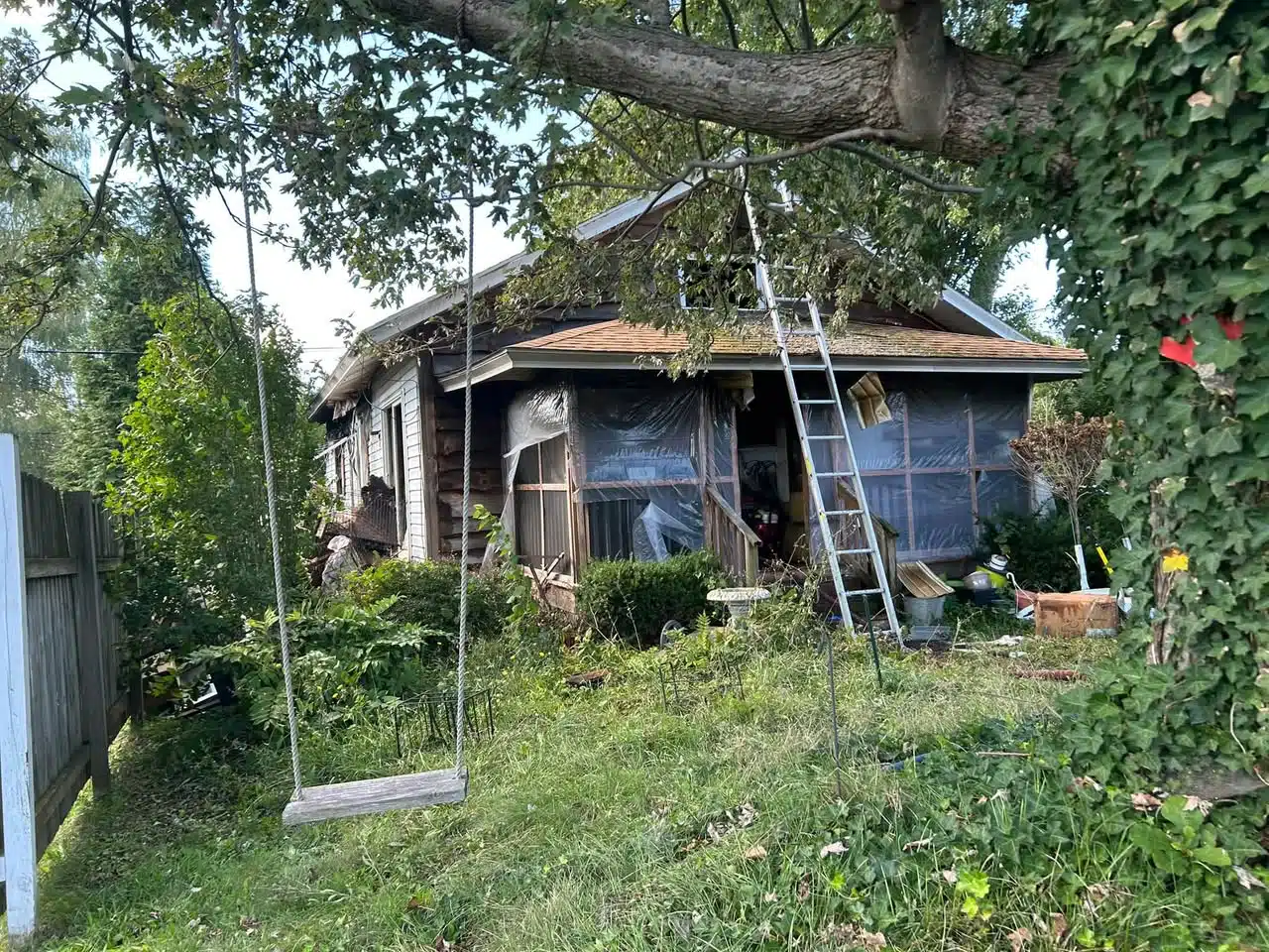 Fundraiser launched for woman after Savannah house fire kills six dogs Fundraiser launched for woman after Savannah house fire kills six dogs