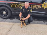 Yates County Sheriff’s Office adds bloodhound to K9 team
