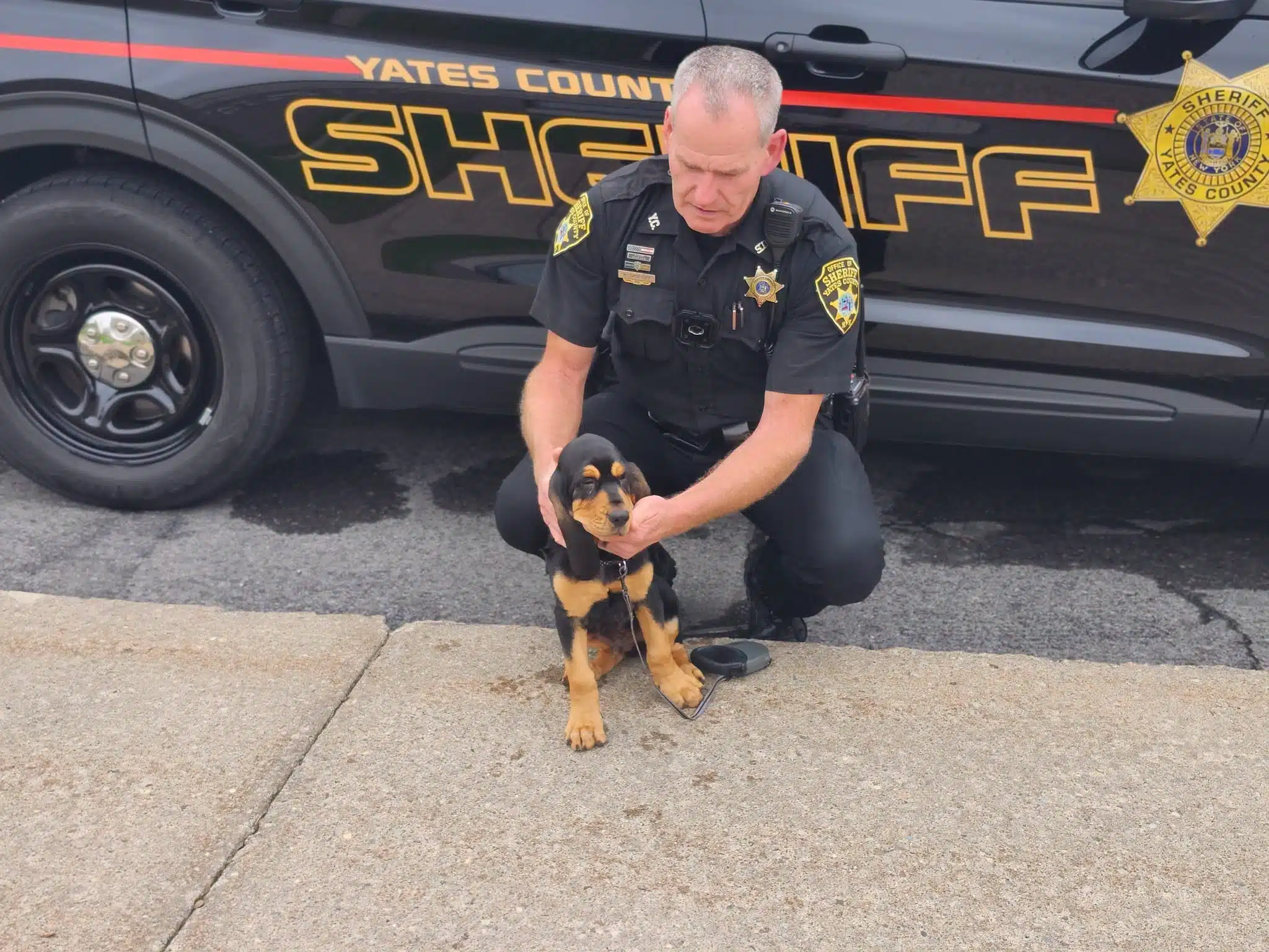 Yates County Sheriff’s Office adds bloodhound to K9 team