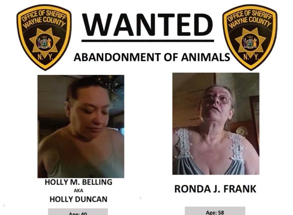 Wayne County deputies seek two women in animal abandonment case