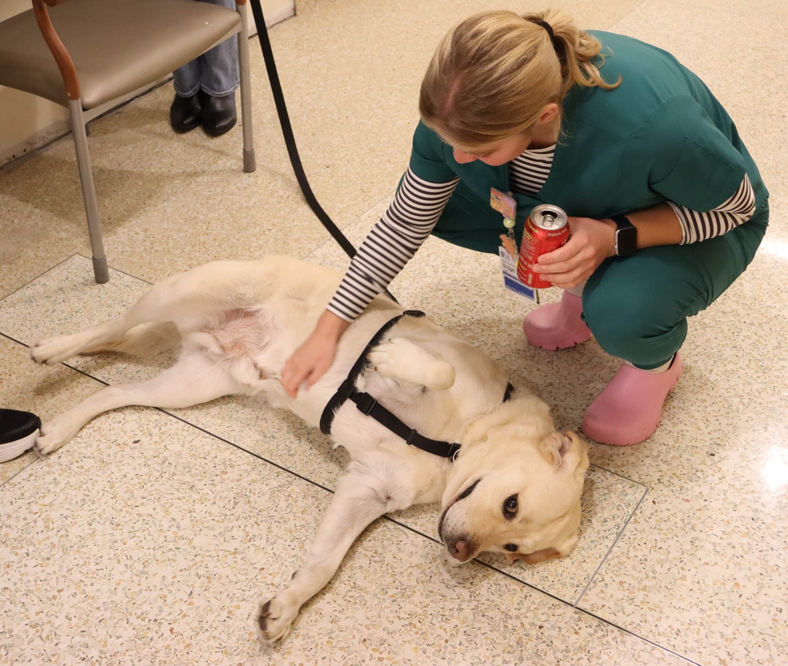 Casey the therapy dog with an employee at Thompson Health