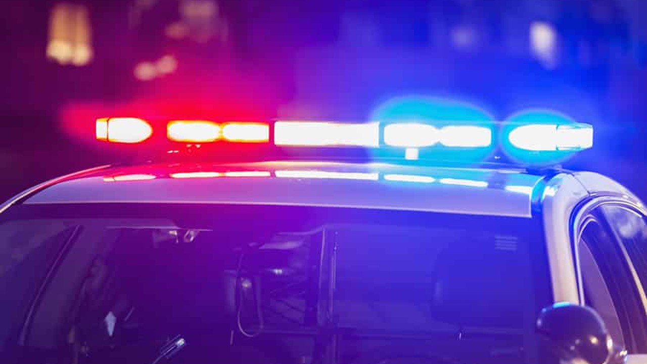 Williamson man charged with child endangerment and harassment