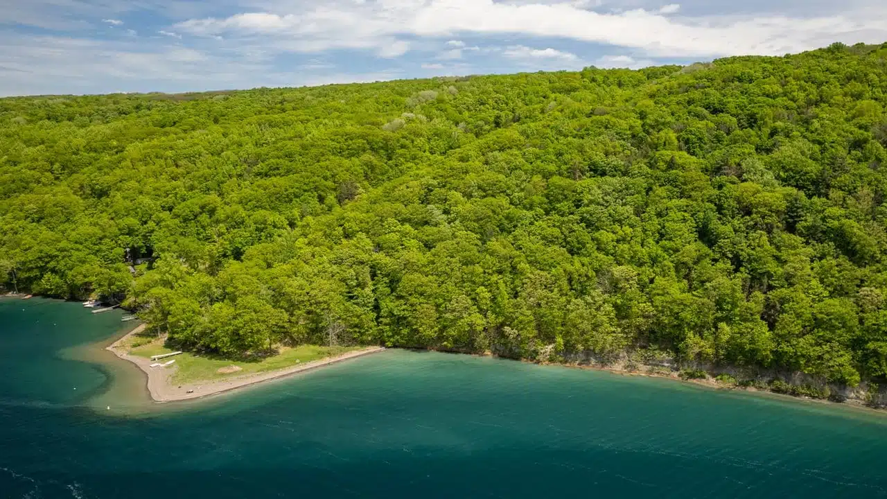 Finger Lakes Land Trust plants shoreline and brook buffers in Skaneateles watershed