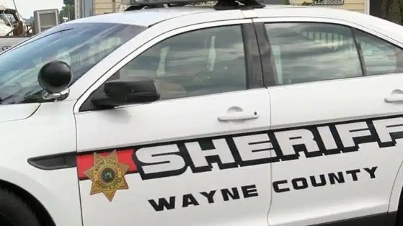 Webster man escapes vehicle before fire after Williamson crash
