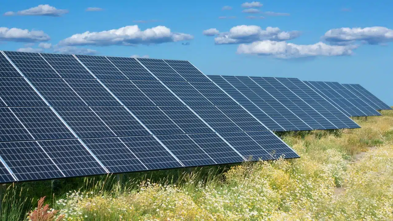 O’Mara presses for farmland protections, local control and solar recycling O’Mara presses for farmland protections, local control and solar recycling